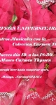 Encuentros Musicales con la colección Carmen Tissen. 19 de diciembre de 2013